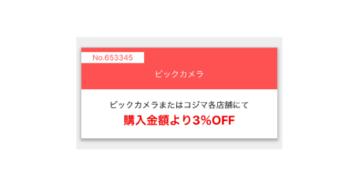 法人限定カード ビックポイント常時2 アップするビックビジネスパートナーカードを発行 30代 賢く生きることを目指すブログ